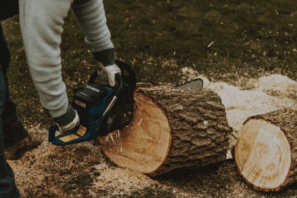 CRW Tree Surgery (600 x 400 px) (5)