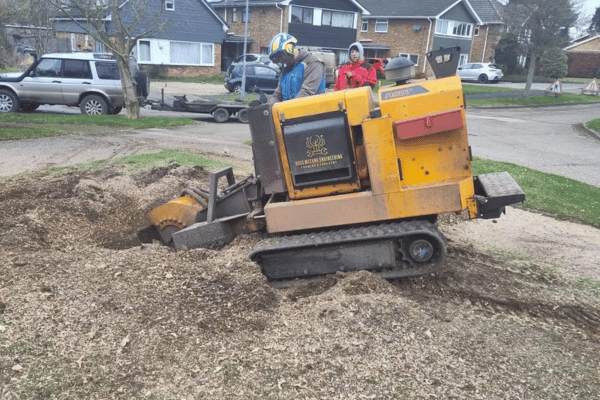 CRW Tree Surgery (600 x 400 px) (6)